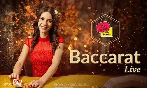555taya Sports Betting
